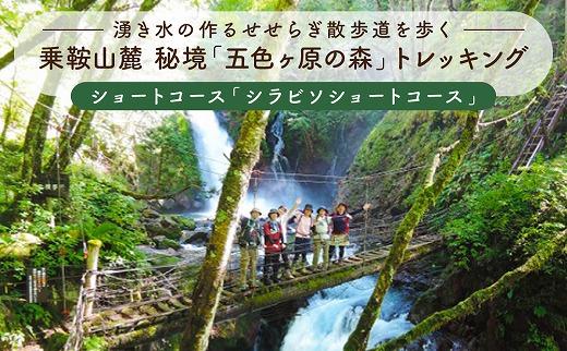 2025・26年度シーズン 乗鞍山麓 秘境「五色ヶ原の森」トレッキングショートコース「シラビソショートコース（所要4時間半）」大人3名分 | 観光 森 自然 ガイド 案内 ツアー トレッキング 飛騨高山 乗鞍山麓五色ヶ原の森 MK006