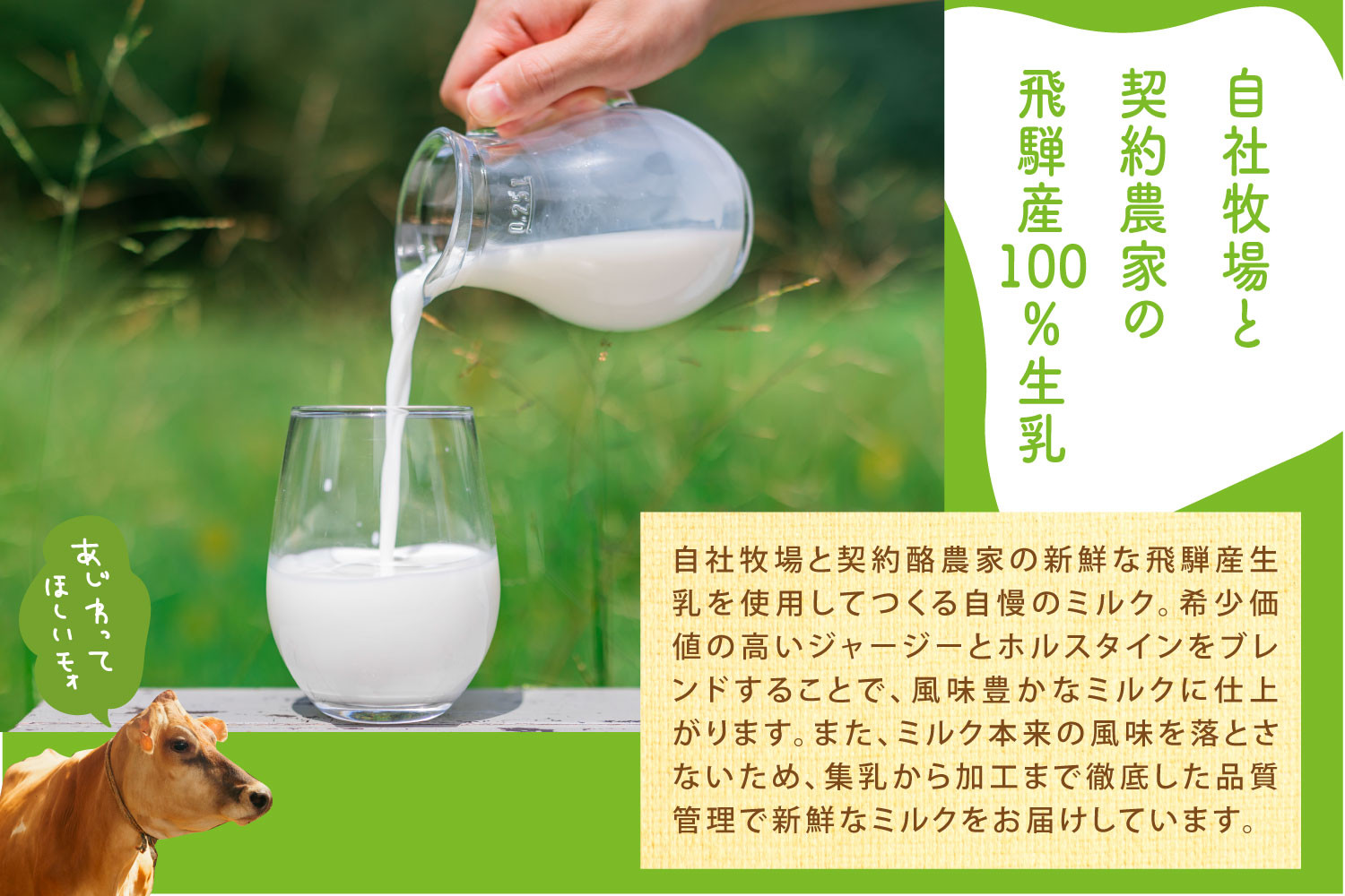 【3か月定期便】牧成舎のヨーグルトたっぷりセット｜のむヨーグルト750ml×3本・生クリームヨーグルト×6個・季の風ヨーグルト×6個｜飛騨産生乳使用・お取り寄せ 飛騨高山 ｜(有)牧成舎 DF240