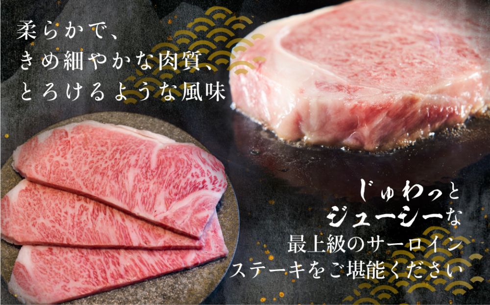 A5 飛騨牛 サーロインステーキ 200g×3枚 | ステーキ 黒毛和牛 肉 牛肉 ブランド牛 和牛 サーロイン 飛騨高山 株式会社丸明 LR006