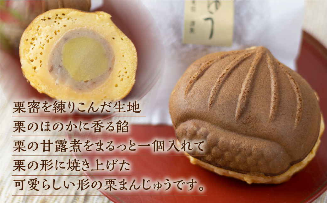 栗まんじゅう 10個 おかし お菓子 くり 饅頭 まんじゅう おやつ お茶請け 冷凍 短冊熨斗のみ ギフト プレゼント バレンタイン ホワイトデー 母の日 飛騨高山 金亀館 TR4448