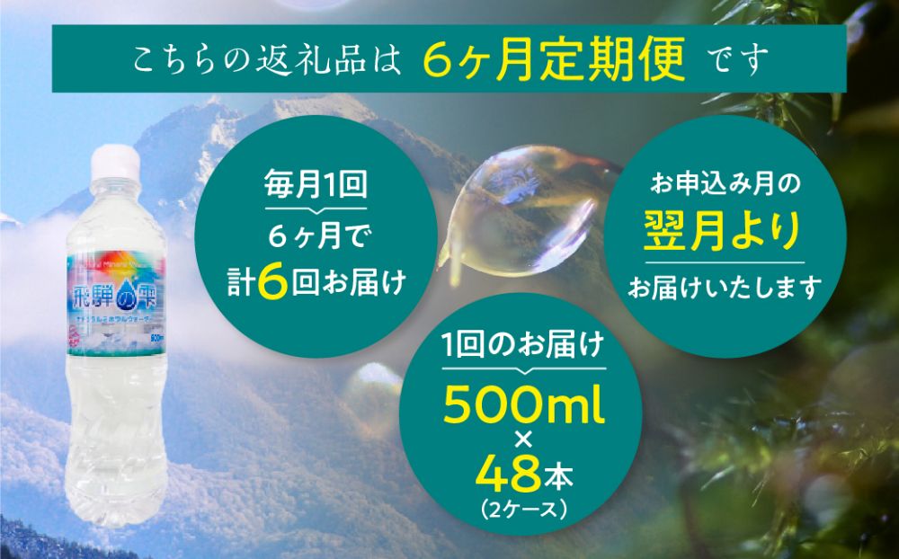 【6回　定期便】天然水　飛騨の雫　500ml×48本　(2ケース)　ミネラルウォーター ミネラルウォーター 水 ペットボトル 飲料水 500ミリリットル 白啓酒店 飛騨高山 TR4150