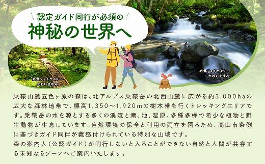 2023・24年度シーズン 乗鞍山麓 秘境「五色ヶ原」トレッキング  ロングコース「ゴスワラコース（所要8時間）」2名分  MK003