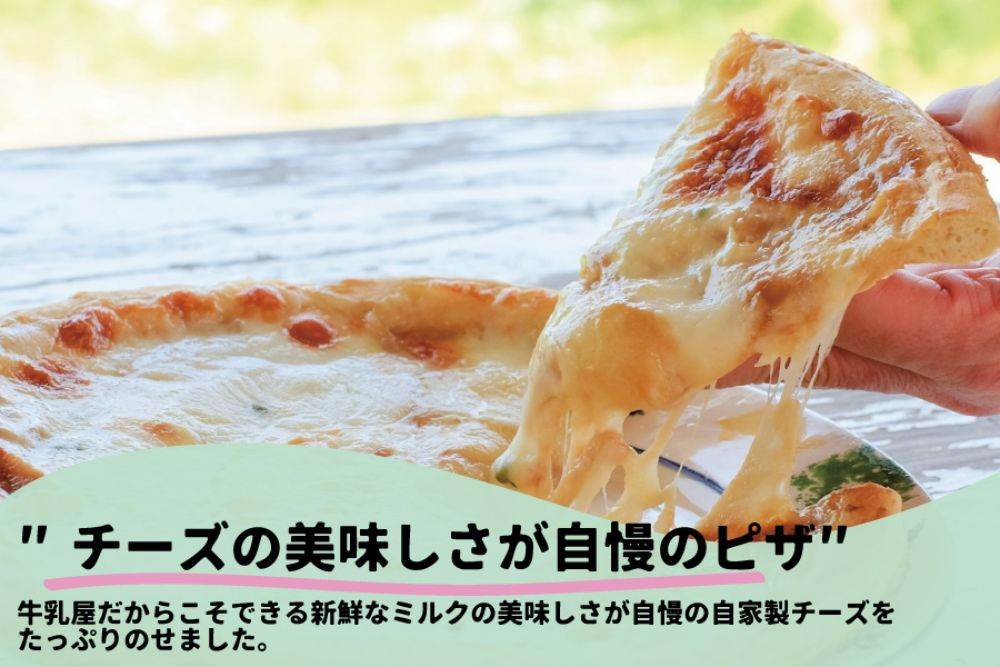 ＜牧成舎＞飛騨の牛乳屋が作る 自家製チーズたっぷりのピザ＆こだわりのカップアイスクリームセット c526