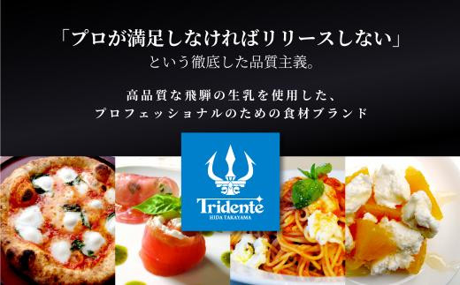 飛騨生乳100％ モッツァレラ1個＆リコッタ1個セット | セット チーズ 冷蔵 濃厚 低温殺菌 乳製品 おいしい 人気 チーズ工房トリデンテ LF011