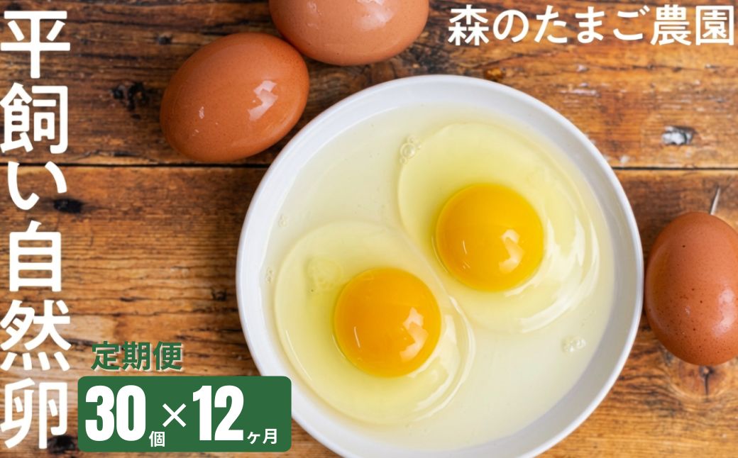 【定期便 12ヶ月】平飼い 自然卵 30個 セット たまご 卵 飛騨高山 森のたまご農園 LW105 | 定期便 たまご 定期便 卵 平飼い 平飼い卵 定期便 たまご 定期便 卵 平飼い 平飼い卵 定期便 たまご 定期便 卵 平飼い 平飼い卵