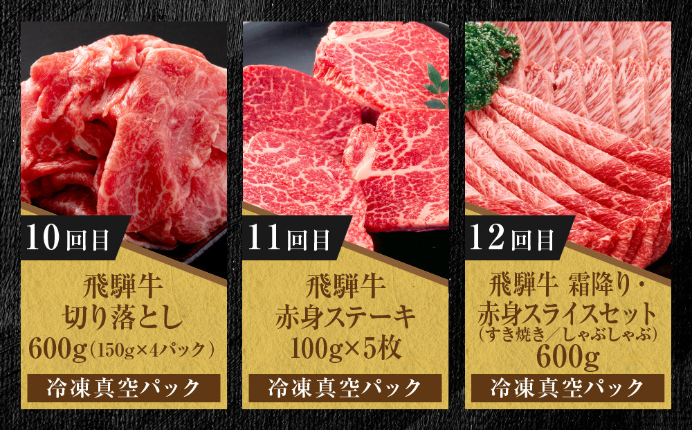 【定期便】全12回 飛騨牛 ざんまい(ステーキ/焼肉/すき焼き/切り落とし/ブロック) | 肉 お肉 黒毛和牛 和牛 個包装 小分け 牛肉 お取り寄せ 飛騨高山ミート MZ106
