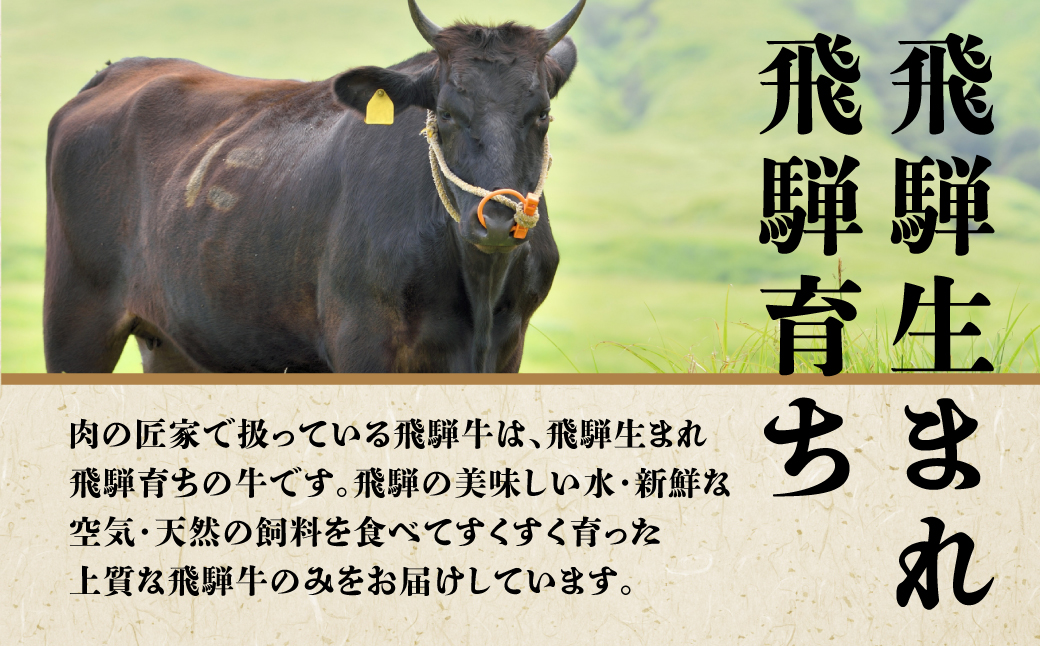 A5等級 飛騨牛 ミニステーキ 6種 食べ比べ 600 冷凍 ステーキ 肉 黒御膳容器入 部位 霜降 産 A5ランク 5等級 ブランド牛 国産牛 国産 Ａ5等級 ステーキ のし対応不可 肉の匠家 TR4390