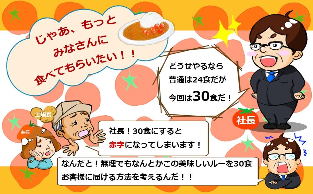 訳あり とまとたっぷりカレー（160ｇ×30袋）| 野菜の旨味 簡易包装 トマト カレー 人気 野菜たっぷり 子供 おいしい ふるさと清見21 DC023