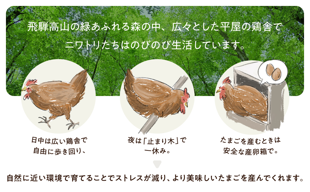 縲仙ョ壽悄萓ソ 12繝カ譛医大ケウ鬟シ縺 閾ェ辟カ蜊オ 24蛟 繧サ繝繝 縺溘∪縺 蜊オ 鬟幃ィィ鬮伜アア 譽ョ縺ョ縺溘∪縺碑セイ蝨 LW104 | 螳壽悄萓ソ 縺溘∪縺 螳壽悄萓ソ 蜊オ 蟷ウ鬟シ縺 蟷ウ鬟シ縺蜊オ 螳壽悄萓ソ 縺溘∪縺 螳壽悄萓ソ 蜊オ 蟷ウ鬟シ縺 蟷ウ鬟シ縺蜊オ 螳壽悄萓ソ 縺溘∪縺 螳壽悄萓ソ 蜊オ 蟷ウ鬟シ縺 蟷ウ鬟シ縺蜊オ