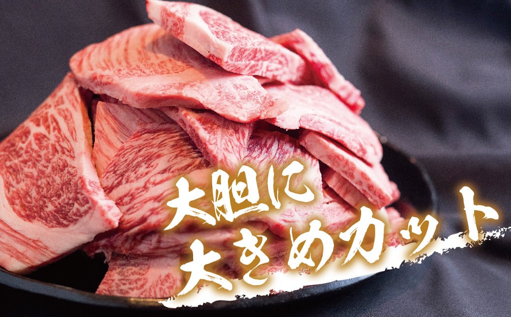 飛騨牛 丸明 切りおとし 1kg 牛肉 訳あり 部位 大きさ 不揃い 日付指定不可 冷凍 焼き肉 訳ありBBQ バーベキュー 切落し 牛 TR3739FAJ