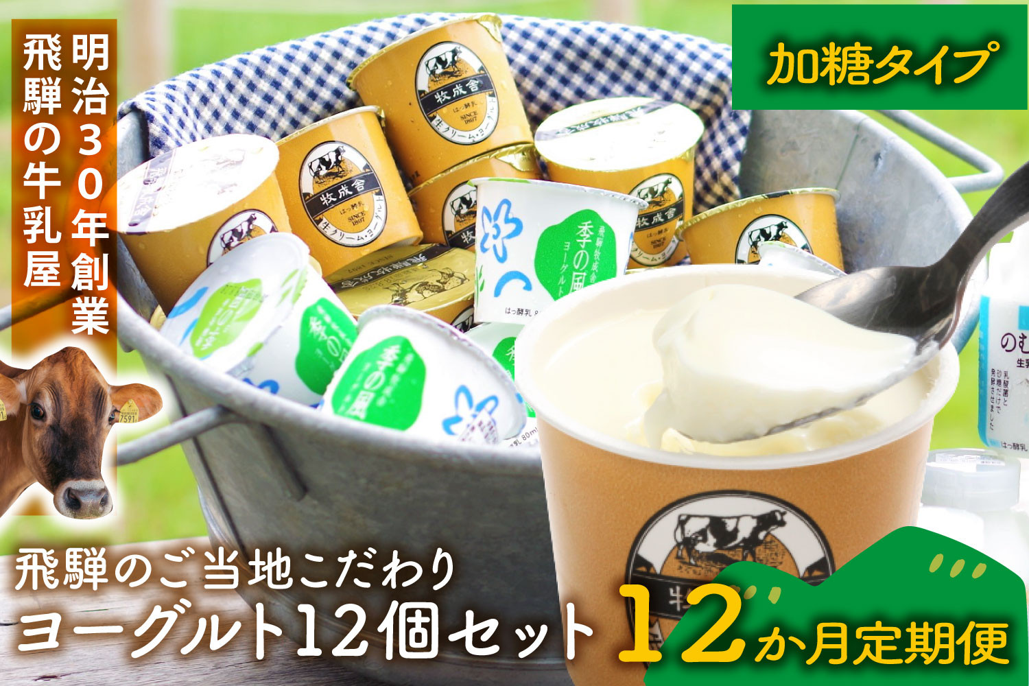 【定期12か月便】牧成舎のヨーグルトたっぷり12個セット（加糖2種×各６）DF219