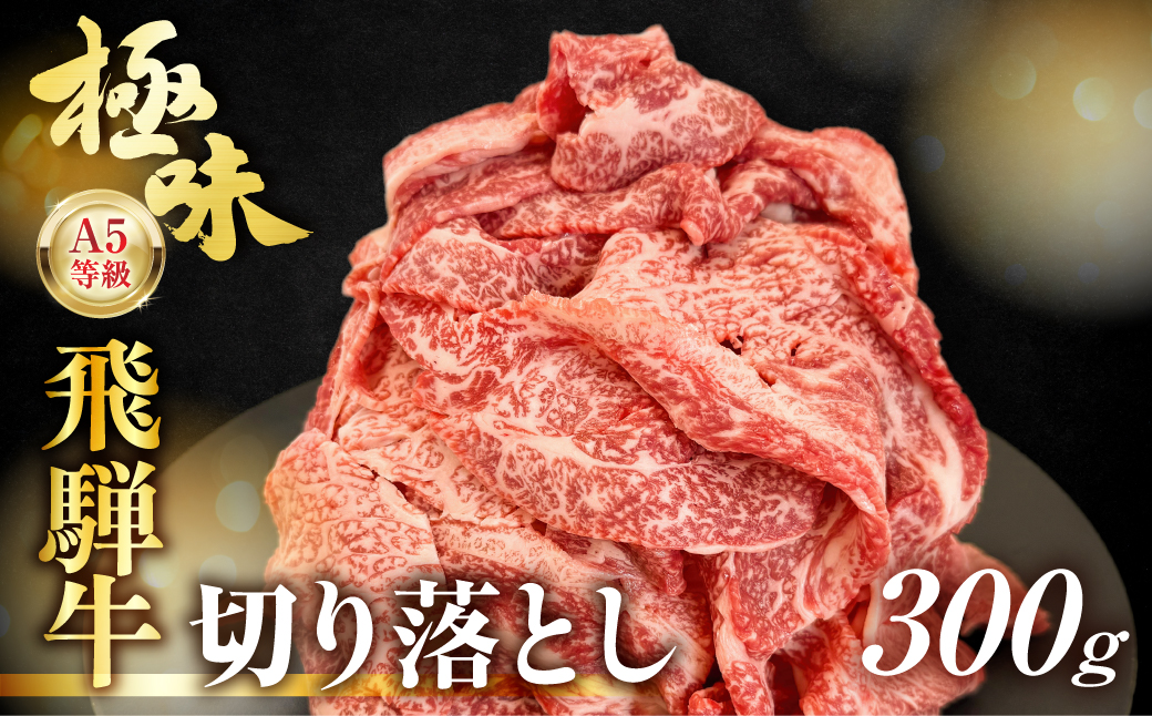 飛騨牛 A5等級 切り落とし 300g | 小間切れ A5ランク A5 5等級 肉 黒毛和牛 ブランド牛 発送時期が選べる 飛騨高山 ながせ食品 FH001VC13