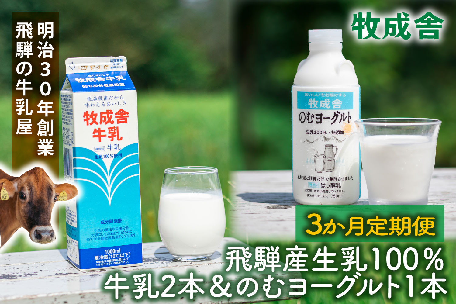 【3か月定期便】牧成舎の飛騨産低温殺菌牛乳と飲むヨーグルトセット｜牛乳1000ml×2本＋のむヨーグルト750ml×1本｜食品添加物不使用・お取り寄せ・健康習慣｜ (有)牧成舎 DF236