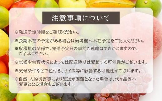 【先行予約】飛騨高山産 山本果樹園 旬の飛騨りんご 約3kｇ(9個〜12個）| 9月中旬〜 順次発送 りんご 果物 フルーツ おいしい 大容量 飛騨高山 山本果樹園 MA002