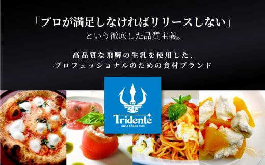 飛騨生乳100％ リコッタ1個 &  モッツァレラチーズ生ブロック1個セット | セット チーズ 冷蔵 濃厚 低温殺菌 乳製品 おいしい 人気 チーズ工房トリデンテ LF017