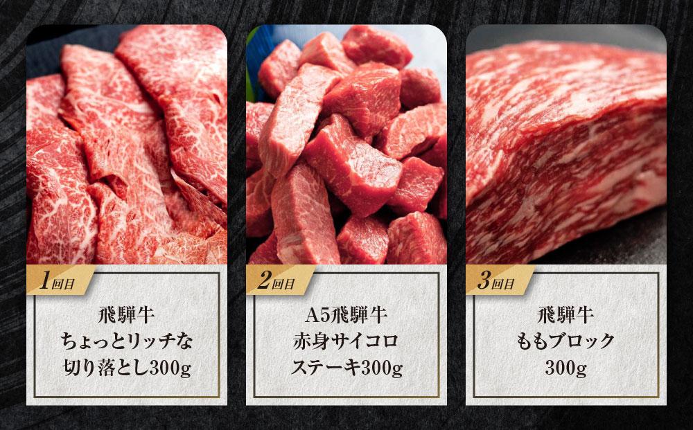 飛騨牛 定期便 全3回 900g ( 300g × 3ヶ月 ) 牛肉 (ブロック / 切り落とし / サイコロステーキ ) | 肉 食べ比べ  岐阜 高山市 飛騨高山 岐阜県 人気 お楽しみ おすすめ TR4454