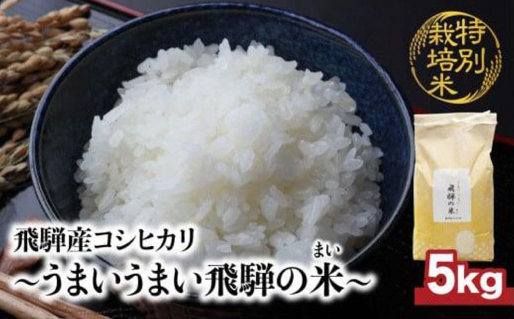 【令和6年産 新米】 飛騨産コシヒカリ 「うまいうまい飛騨の米」 白米 5kg | こしひかり 飛騨産 精米 お米 特別栽培米 飛騨高山 ファームジネンいいむら GG015