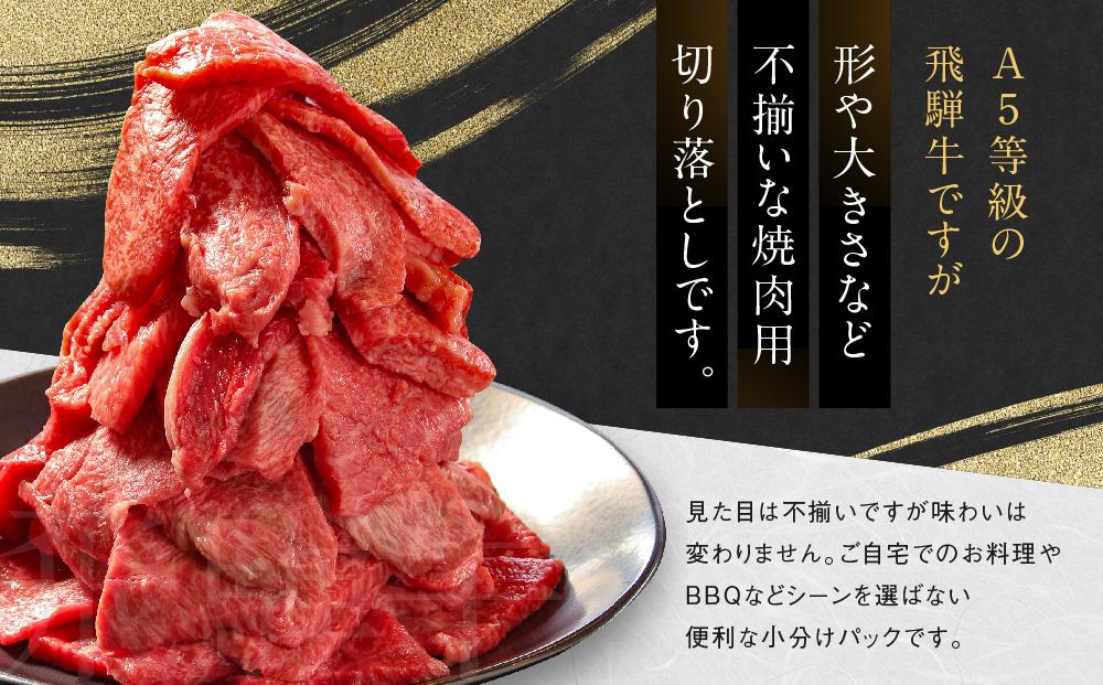 訳あり A5等級 飛騨牛 焼肉 切り落とし1200g |牛肉 黒毛和牛 BBQ 肉料理 ブランド牛 不揃い 株式会社岩ト屋 HF041