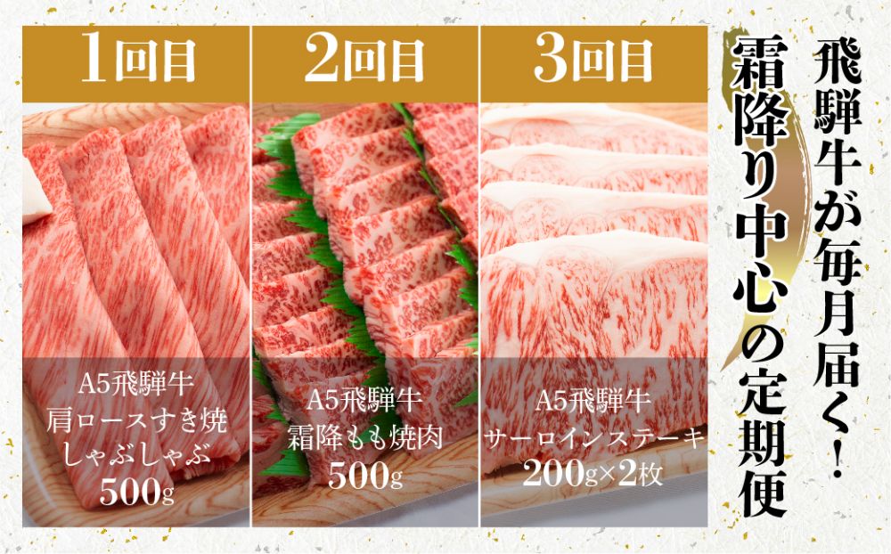 肉の匠家 飛騨牛 【霜降り 定期便 3カ月】 ステーキ  すき焼き  3回 肉  サーロインステーキ  TR3345 
