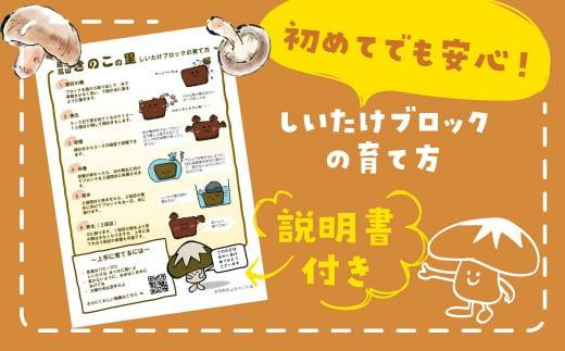 ã2026幎2æçºééå§ã å®æäŸ¿ èåºæ€èžæ œå¹ããã 3åÃå
š4åïŒ2æã»5æã»10æã»1æã«çºéïŒ| ãããã ã·ã€ã¿ã± æ€èž æ œå¹ããã ãã®ã æ œå¹ èåº ããããè æ€èžè æ œå¹ããã㯠æ¡ãã㊠ãšãã㊠å€äŒã¿ èªç±ç ç©¶ åèž é£è² é£éššé«å±±ãã®ãã®é GK102VC02