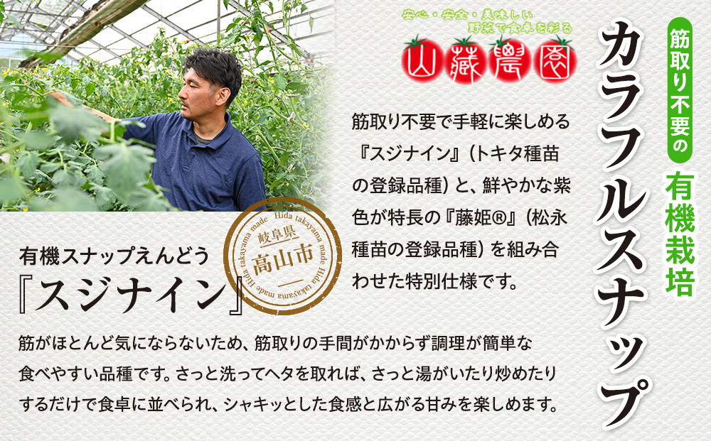 æ¥ã®é£åã圩ã é£éššé«å±±ç£ ææ©æ œå¹ã¹ããããšã³ã㊠1kgïŒç·è²ã»çŽ«è²ã®æ··åïŒïŒæ¥éå®ã»5ã6æçºéïŒïœæ°é®® æ¥éè æ¬ã®å³èŠ ããã©ã 圩ãéè å±±è蟲å JC020