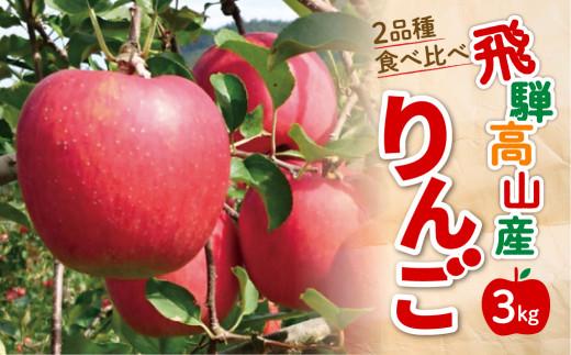 【先行受付】飛騨りんご2種詰め合わせ 3kg | りんご 林檎 リンゴ 果物 フルーツ 産地直送 品種お任せ 日付指定不可 9月下旬～11月上旬頃順次発送 堤果樹園 KU001