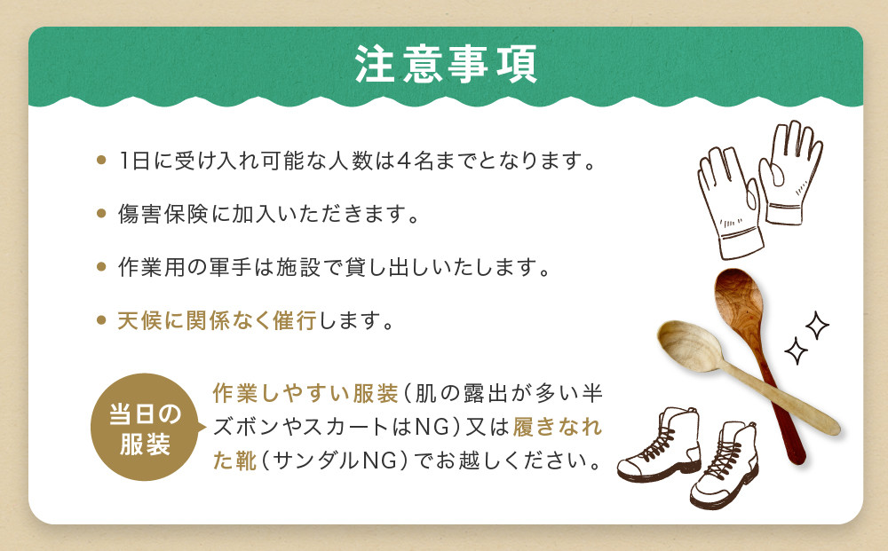 グリーンウッドワーク体験（4名様）【レギュラーコース】 | 木 木工体験 手道具作製 五感 自然 飛騨高山 高山エース旅行センターLQ020