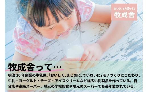 砂糖不使用 プレーンヨーグルト 20個 飛騨の牛乳屋 牧成舎 生乳100％ 朝食におすすめ 無糖ヨーグルト プレーンヨーグルト 砂糖不使用 生乳 ヨーグルト 乳製品 牧成舎 DF006VC13