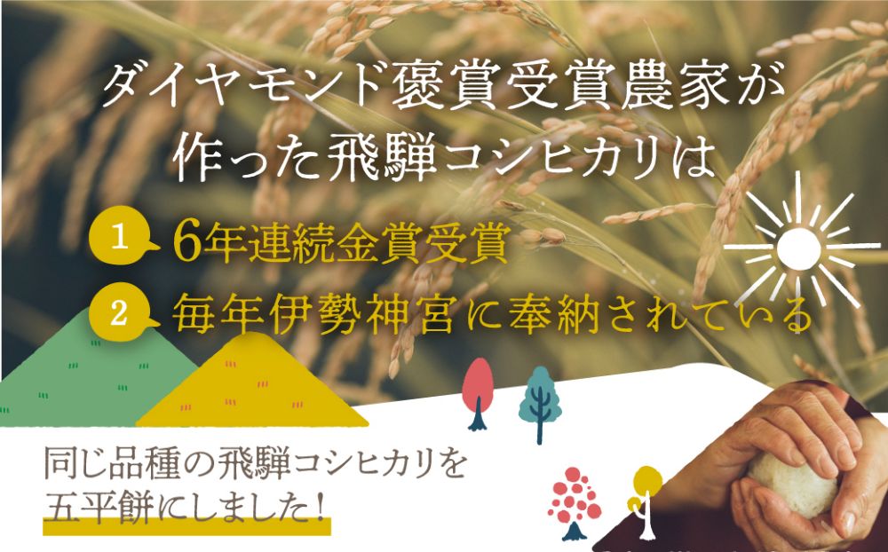 飛騨高山五平餅 五平餅 2本入り6個セット (12本入り)  こしひかり ごへいもち  　お菓子 飛騨高山     和仁農園 TR3428