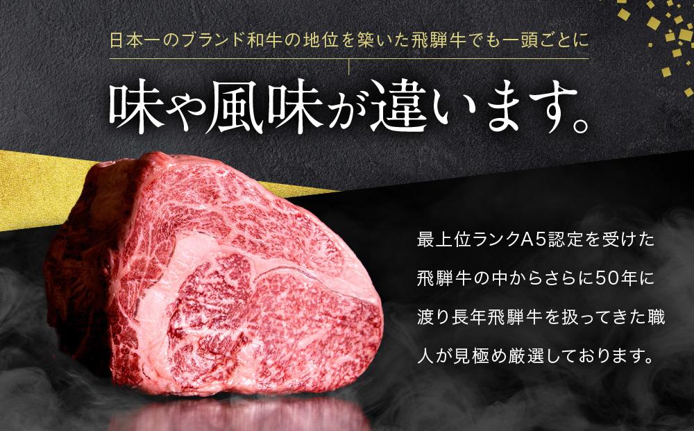 A5等級 飛騨牛 プレミアム 焼肉 切り落とし 600g | 牛肉 黒毛和牛 BBQ 肉料理 ブランド牛 訳あり 不揃い 株式会社岩ト屋 HF042