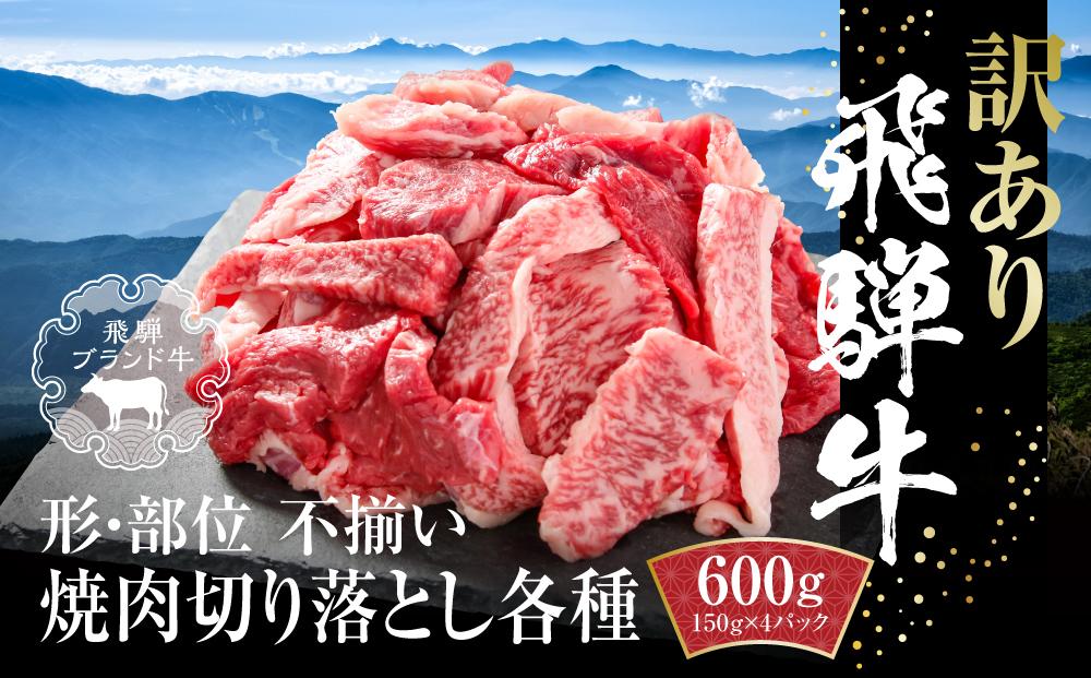 訳あり 飛騨牛 焼肉 切落とし 600g（150g×4パック） 冷凍真空パック | 肉 お肉 焼肉 焼き肉 やきにく 黒毛和牛 和牛 個包装 小分け 人気 おすすめ 牛肉 ギフト お取り寄せ【飛騨高山ミート MZ014】