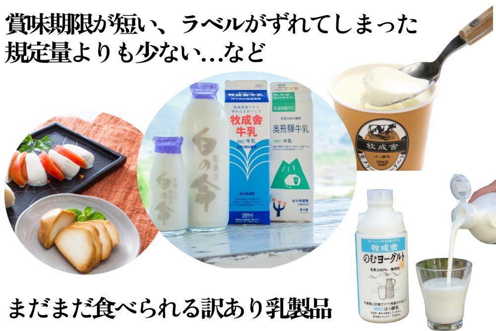 乳製品 福袋　デラックスセット 乳製品 ヨーグルト 牛乳 種類おまかせ セット 詰合せ  牧成舎 TR3753