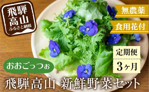 【定期便３回】飛騨高山野菜『おおごっつぉ』詰合せ 葉物野菜 葉物 ミックスリーフ わさびな フラワーサラダ 無農薬野菜 無農薬 HS101