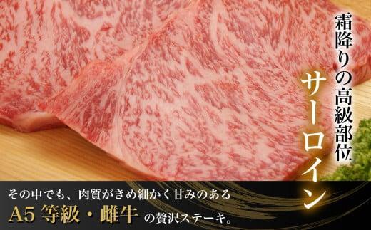 【2月配送】飛騨牛サーロインステーキ600ｇ（200ｇ×3） A5等級 ブランド牛 和牛  朝日屋 JX009VC02
