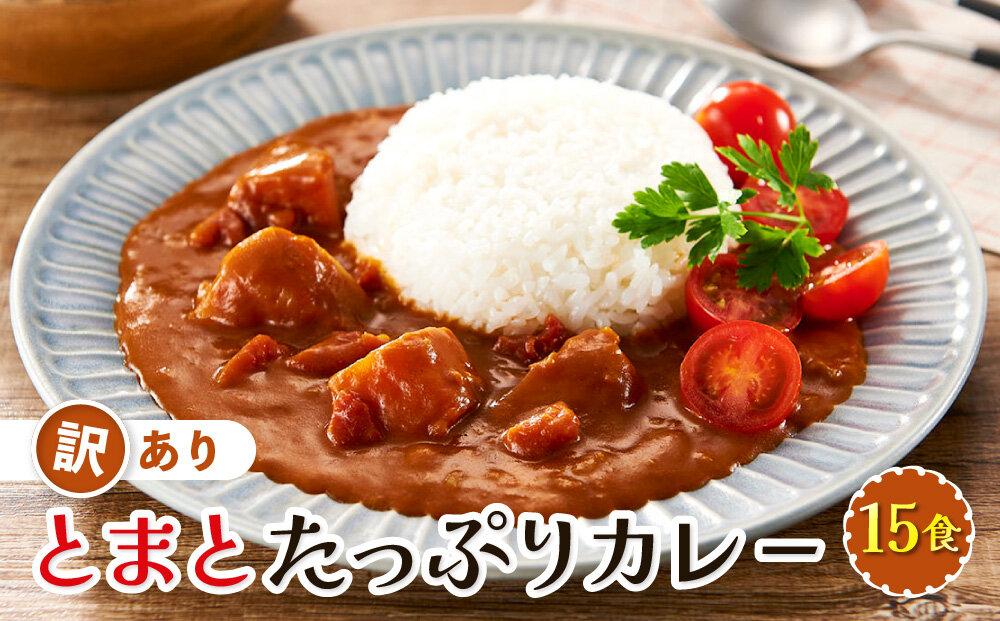 訳あり とまとたっぷりカレー（160ｇ×15袋）| 野菜の旨味 簡易包装 トマト カレー 人気 野菜たっぷり 子供 おいしい ふるさと清見21 DC022