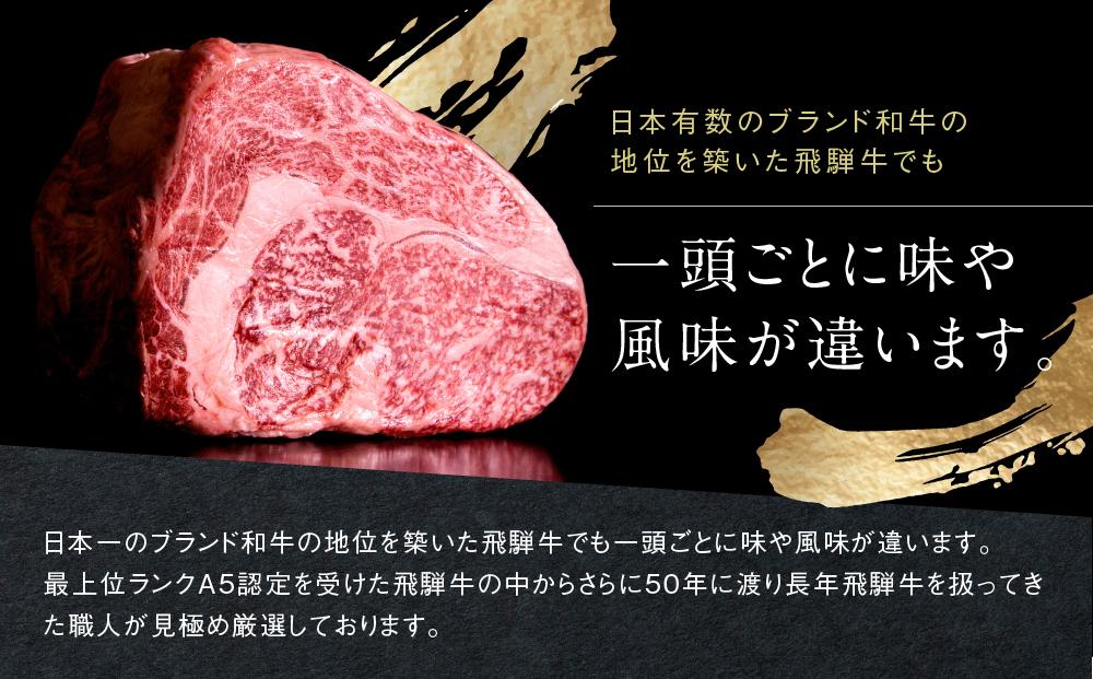 訳あり A5等級 飛騨牛 焼肉 切り落とし600g | 牛肉 黒毛和牛 BBQ 肉料理 ブランド牛 不揃い 株式会社岩ト屋 HF040