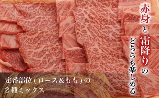 飛騨牛 焼肉 2種食べ比べ （ 肩ロース / もも ）500g | A5等級 牛肉 和牛 ブランド牛 雌牛 牝牛 バーベキュー キャンプ 飛騨高山 肉の朝日屋 JX013