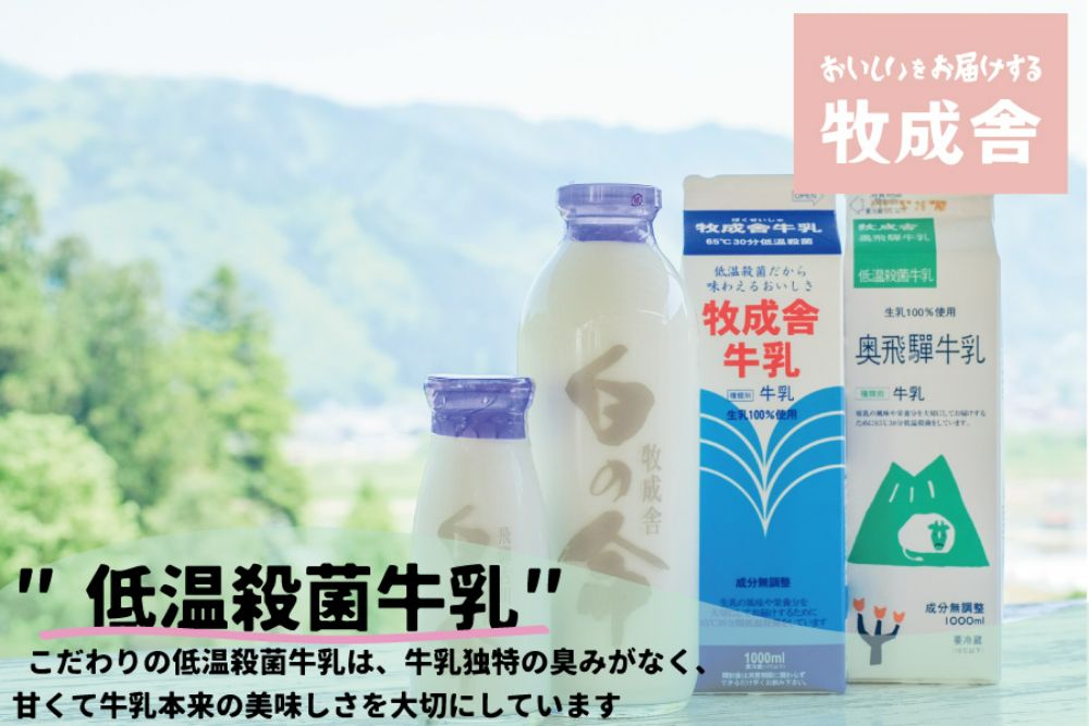 飛騨産生乳100％！美味しい低温殺菌牛乳6本 乳製品 牛乳 牧成舎 TR3746 