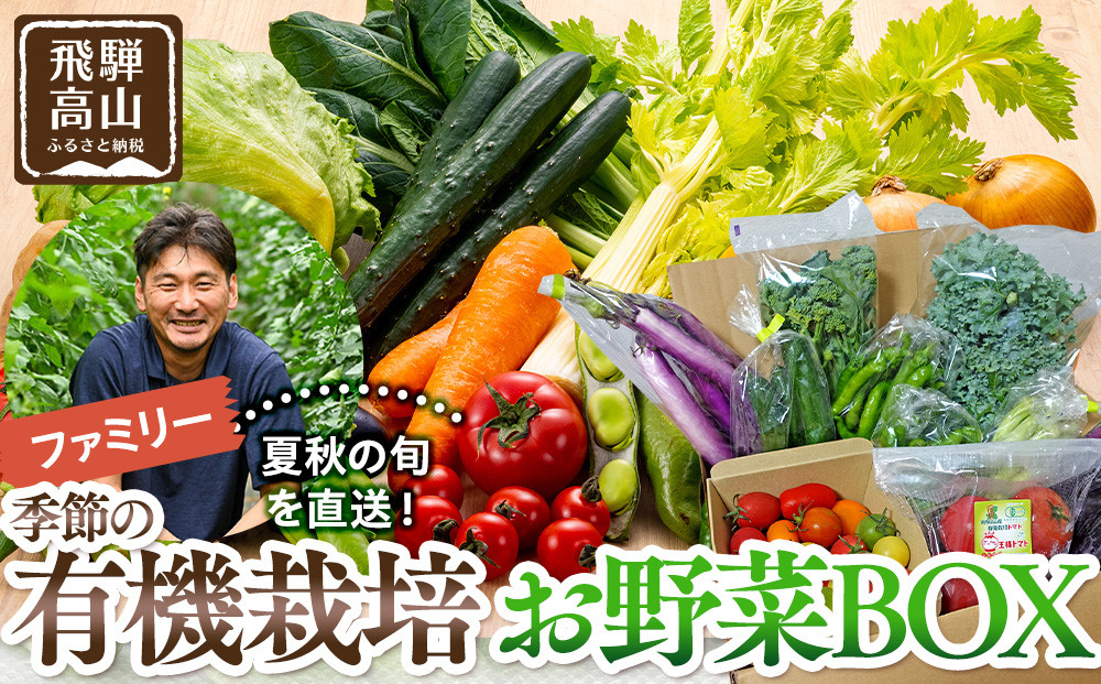 飛騨高山産 季節の有機栽培お野菜BOX（ファミリー）お届け：6月〜10月｜ファミリー 新鮮  有機野菜 旬野菜 地元野菜 やさい 農園 高山市 山藏農園 JC022