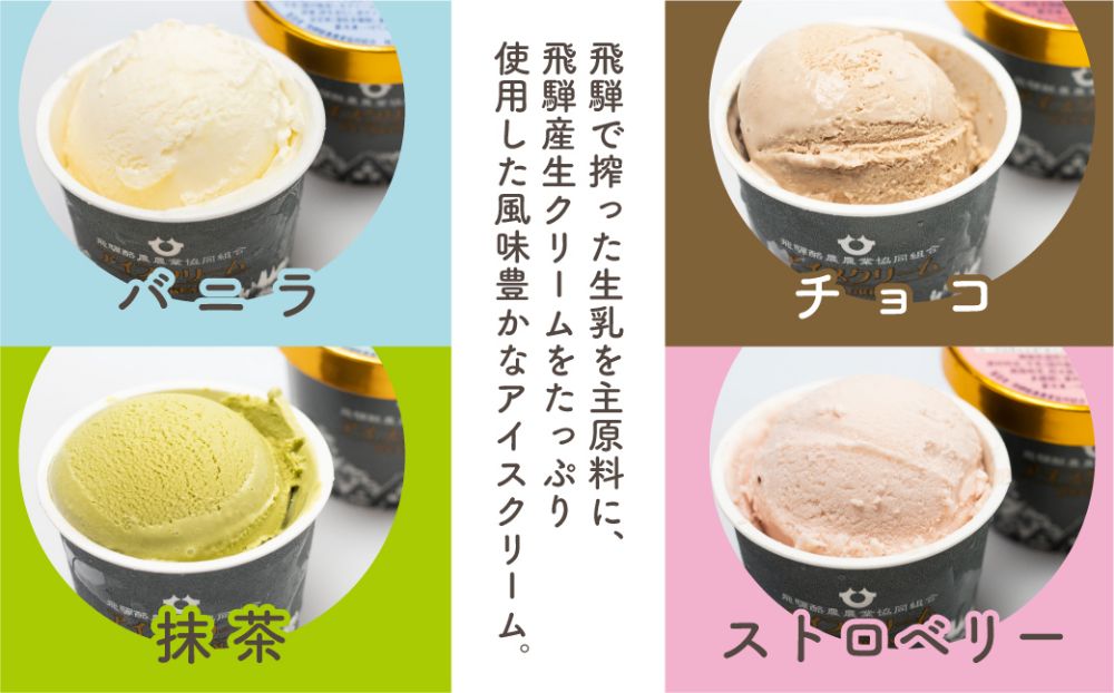 飛騨アイスクリームセット 4種類16個入り | 夏 HACCP おやつ 手土産 チョコ バニラ 抹茶 ストロベリー いちご のし対応 ギフト プレゼント 飛騨高山 飛騨酪農農業協同組合 CV007