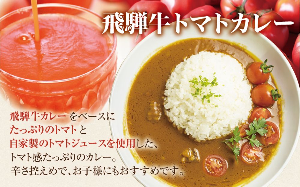 飛騨牛カレー (8袋) 飛騨牛トマトカレー (4袋)  | 訳あり 飛騨牛 肉 牛 カレー ビーフカレー 簡易包装 レトルトカレー トマトカレー 人気 おすすめ おいしい 便利 飛騨高山 ふるさと清見 DC004VC13