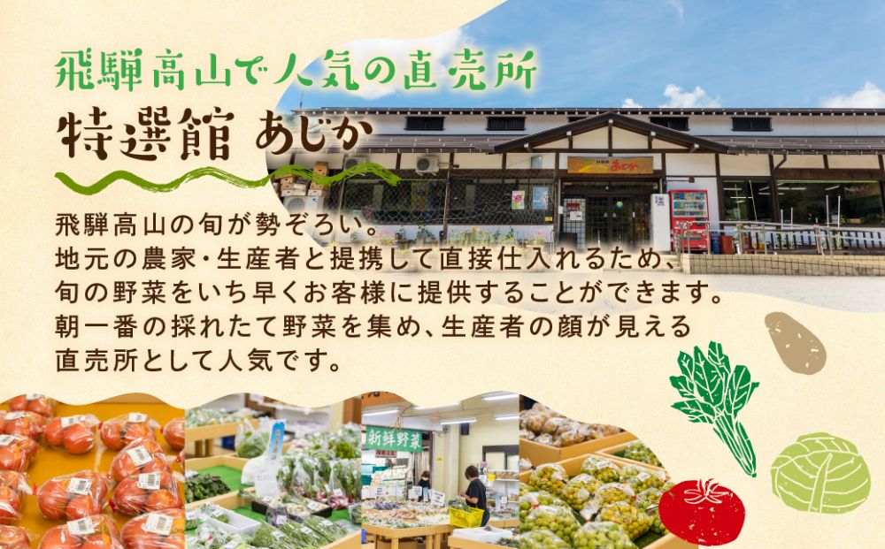 先行予約 定期便 3ヶ月 飛騨の野菜 6〜7点 野菜セット 3回 お届け 飛騨高山産 野菜  秋野菜 おまかせ お取り寄せ  産地直送 飛騨産 夏 秋 ふるさと納税定期便    GN100