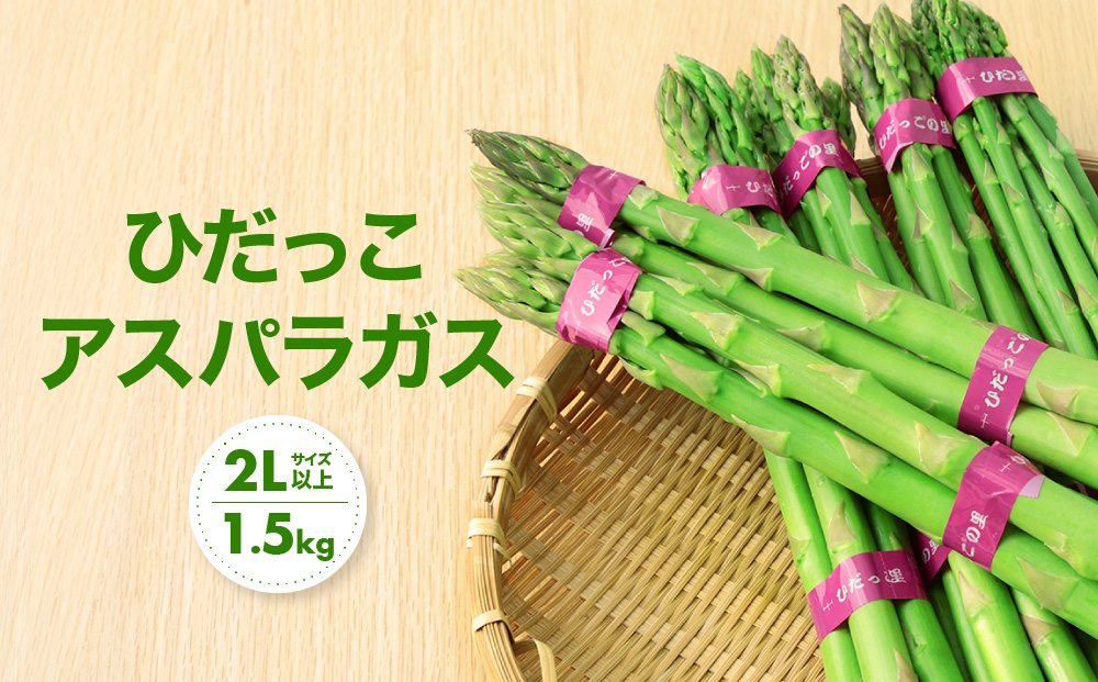 【2026年発送・先行受付】2Lサイズ以上 ひだっこアスパラガス 1.5kg | アスパラ 野菜 やさい 産地直送 春 夏野菜 採れたて グリーンアスパラガス 期間限定 人気 おいしい ひだっこの里 CM002VC01