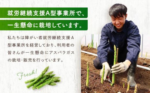 【2025年発送 先行受付】2Lサイズ以上 ひだっこアスパラガス 1.5kg アスパラ  野菜 やさい 産地直送 春  夏   採れたて グリーンアスパラガス 期間限定 ひだっこの里  CM002VC01