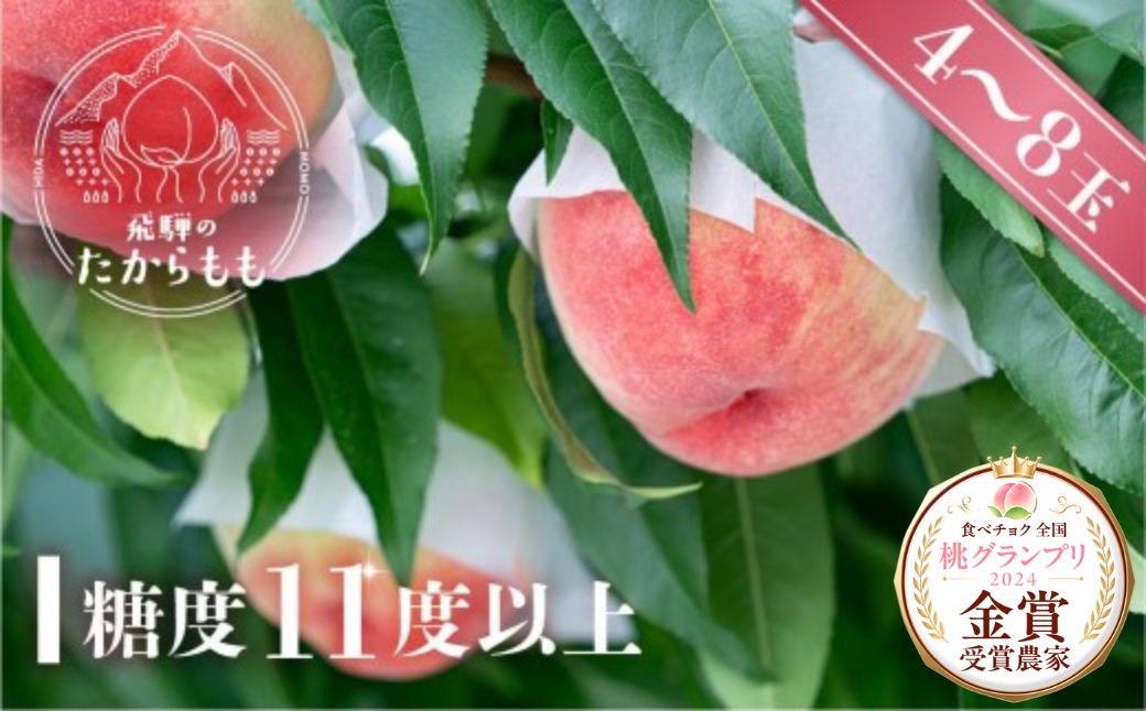 【2026年発送・先行受付】飛騨のたからもも 糖度11度以上（4-8玉）※7月中旬〜順次お届け | 桃 朝採れ 白桃 もも フルーツ ギフト 果物 人気 おまかせ 飛騨桃 飛騨高山 つむぎ果樹園 GH006