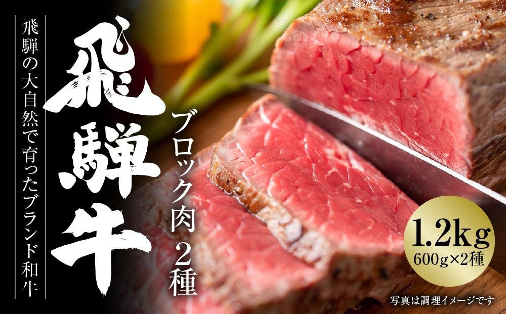 飛騨牛 ブロック肉[塊]2種 1.2kg（霜降り/赤身 各300ｇ×2種） 冷凍真空パック | 肉 お肉 ローストビーフ 煮込み 焼肉 焼き肉 やきにく BBQ 黒毛和牛 和牛 食べ比べ 人気 おすすめ 牛肉 ギフト お取り寄せ【飛騨高山ミート MZ024】