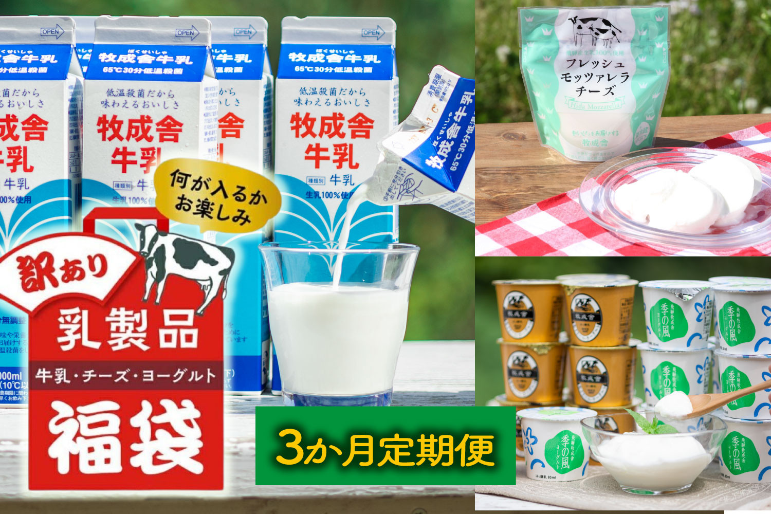 【3か月定期便】牧成舎の訳あり乳製品福袋（牛乳・ヨーグルト・チーズ詰め合わせ）訳あり 福袋 乳製品 チーズ 詰め合せ | 牧成舎 DF228