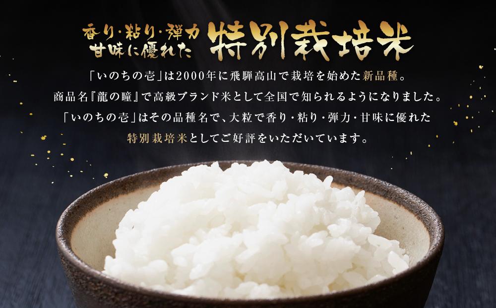 【定期便】令和5年産 飛騨高山産いのちの壱（白米）10kg×6ケ月 | 粒が大きい ブランド米 お米 ご飯 おいしい 人気 いのちの壱 飛騨高山 クオリティ飛騨高山 AU109