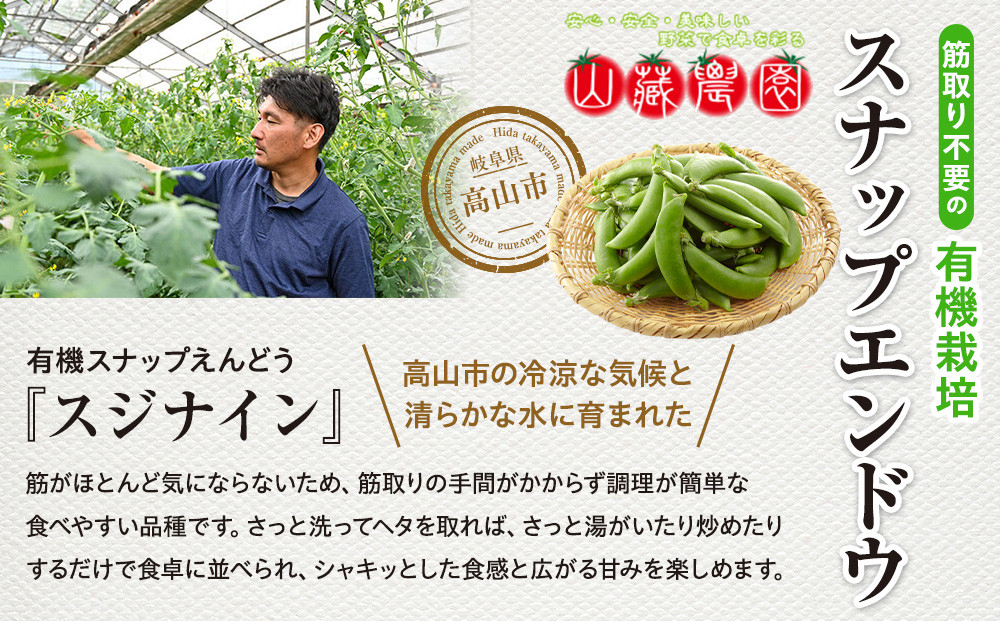 é£éššé«å±±ç£ çåãäžèŠã®ææ©æ œå¹ã¹ããããšã³ããŠ500gïŒæ¥éå®ã»5ã6æçºéïŒïœæ°é®® æ¥éè æ¬ã®å³èŠ ããã©ã 圩ãéè å±±è蟲å JC018