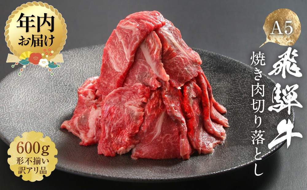 【12月配送】【形不揃い訳あり】A5等級飛騨牛 焼肉 切り落とし600g（冷蔵配送）| 年内発送 牛肉 肉 和牛 キャンプ 肉料理 ブランド牛 不揃い 人気 国産 お取り寄せ グルメ おすすめ 株式会社岩ト屋 HF040VC12